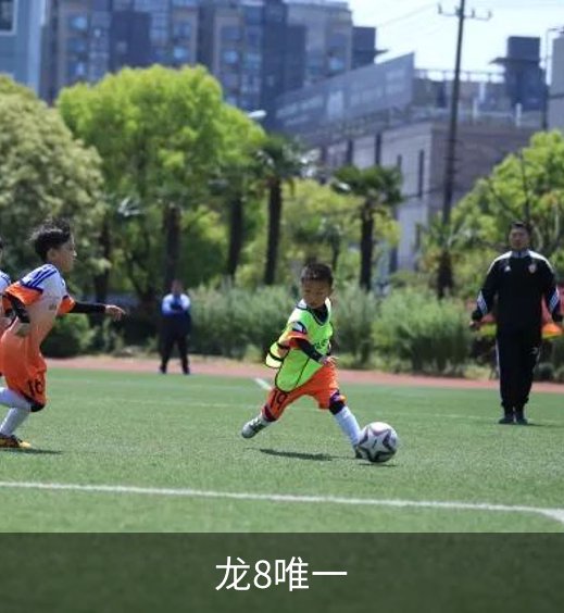 龙8唯一概况